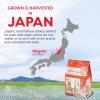 imageIRIS Instant White Sushi Rice 10 Pack Premium Japanese Short Grain Sticky Rice Microwave for 80 seconds 12 Minutes Gluten Free Vegan Grown Polished and Packed in JapanRaw  Soft