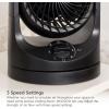imageIRIS USA WOOZOO Desk Fan Oscillating Table Air Circulator 3 Speeds 32ft Max Air Distance 112 Adjustable Tilt 275db Low Noise Motor Small Fan for Bedroom Office Dorm BlackBLACK