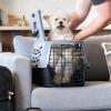 imageIRIS USA 23quot Cat Carrier Small Pet Carrier Hard Dog Kennel with 2Door Front and Top Access Dog Carrier up to 18 pounds BlackGrayBlackGray