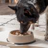 imageIRIS USA 4Cup Slow Feeder Dog Bowl AntiChoking ampamp AntiSlip Puzzle Bowl for Healthy Digestion Slow Eating Dog Bowl for Short Snouted Dogs Cats ampamp Pets BPAFree PVCFree BeigeBlackBeigeBlack