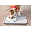 imageIRIS USA 4Cup Slow Feeder Dog Bowl AntiChoking ampamp AntiSlip Puzzle Bowl for Healthy Digestion Slow Eating Dog Bowl for Short Snouted Dogs Cats ampamp Pets BPAFree PVCFree BeigeBlackWhiteGray