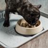 imageIRIS USA 4Cup Slow Feeder Dog Bowl AntiChoking ampamp AntiSlip Puzzle Bowl for Healthy Digestion Slow Eating Dog Bowl for Short Snouted Dogs Cats ampamp Pets BPAFree PVCFree BeigeBlackBeigeBlack