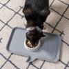 imageIRIS USA 4Cup Slow Feeder Dog Bowl AntiChoking ampamp AntiSlip Puzzle Bowl for Healthy Digestion Slow Eating Dog Bowl for Short Snouted Dogs Cats ampamp Pets BPAFree PVCFree BeigeBlackWhiteBeige