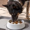 imageIRIS USA 4Cup Slow Feeder Dog Bowl AntiChoking ampamp AntiSlip Puzzle Bowl for Healthy Digestion Slow Eating Dog Bowl for Short Snouted Dogs Cats ampamp Pets BPAFree PVCFree BeigeBlackWhiteGray