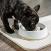 imageIRIS USA 4Cup Slow Feeder Dog Bowl AntiChoking ampamp AntiSlip Puzzle Bowl for Healthy Digestion Slow Eating Dog Bowl for Short Snouted Dogs Cats ampamp Pets BPAFree PVCFree BeigeBlackWhiteBeige