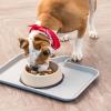 imageIRIS USA 4Cup Slow Feeder Dog Bowl AntiChoking ampamp AntiSlip Puzzle Bowl for Healthy Digestion Slow Eating Dog Bowl for Short Snouted Dogs Cats ampamp Pets BPAFree PVCFree BeigeBlackBeigeBlack