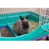 imageIRIS USA Large Portable Wire Rabbit Cage with Top Access and Two Tray Division Easy Access Secure Lock and Easy to Clean Movable House for Small Sized Animals Rabbit Guinea Pigs Rat Hamster Green