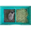 imageIRIS USA Large Portable Wire Rabbit Cage with Top Access and Two Tray Division Easy Access Secure Lock and Easy to Clean Movable House for Small Sized Animals Rabbit Guinea Pigs Rat Hamster Green