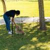 imageIRIS USA Metal Dog Playpen 8Panel 42quot Pet Playpen Puppy Playpen IndoorOutdoor Dog Fence 58 x 58 x 42 Foldable Customizable BlackBlack