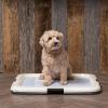 imageIRIS USA Pee Pad Holder  For Potty Training Regular Sized Dog ampamp Puppy Pee Pads Secured Latches NonSkid Feet Leak Protection Fits 22quotx22quot Pad or Larger Square Dark GrayDark Gray