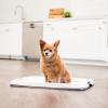 imageIRIS USA Pee Pad Holder  For Potty Training Regular Sized Dog ampamp Puppy Pee Pads Secured Latches NonSkid Feet Leak Protection Fits 22quotx22quot Pad or Larger Square Dark GrayDark Gray