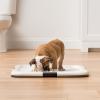 imageIRIS USA Pee Pad Holder  For Potty Training Regular Sized Dog ampamp Puppy Pee Pads Secured Latches NonSkid Feet Leak Protection Fits 22quotx22quot Pad or Larger Square Dark GrayDark Gray
