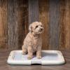 imageIRIS USA Pee Pad Holder  For Potty Training Regular Sized Dog ampamp Puppy Pee Pads Secured Latches NonSkid Feet Leak Protection Fits 22quotx22quot Pad or Larger Square Dark GrayBlue