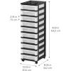 imageIRIS USA Plastic Drawer Storage Organizer Rolling Cart with Wheels Casters 6Drawers for Classroom Art Craft Supplies Dresser Closet Bathroom Dorm Bedroom Laundry Room BlackPearlSingle