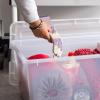 imageIRIS USA 91 Qt Stackable Plastic Storage Bins with Lids 4 Pack  BPAFree SeeThrough Organizing Solution Latches Durable Nestable Containers Secure Pull Handle Made in USA  ClearRedHoliday Red
