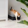 imageIRIS USA Cat Litter Box with High Walls and Handles Made with Flexible Plastic Sage GreenBlack