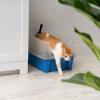 imageIRIS USA Cat Litter Box with High Walls and Handles Made with Flexible Plastic Sage GreenBlue