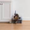 imageIRIS USA Cat Litter Box with High Walls and Handles Made with Flexible Plastic Sage GreenDark Gray