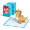 imageIRIS USA Pee Pads for Dogs  Puppy Essentials Dog Pads Quick Dry Leak Proof Thick Absorbent 6Layer Design for Potty Training Regular Size 22quot x 22quot 100 Count