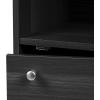 imageIRIS OHYAMA USA 3Tier Closed Cubby Storage Shelf with Doors Small Storage Bookshelf Cabinet with Closed Privacy Door Shelves with Magnetic Closures BlackBlack