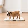 imageIRIS USA Pee Pad Holder for Puppy Training Secured Latches NonSkid Feet Fits 22quotx22quot Pads Dark Gray  100 Puppy Pads Leak Proof Quick Dry 6Layer Absorbent Design 22quotx22quotBlue