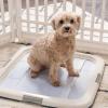 imageIRIS USA Pee Pad Holder for Puppy Training Secured Latches NonSkid Feet Fits 22quotx22quot Pads Dark Gray  100 Puppy Pads Leak Proof Quick Dry 6Layer Absorbent Design 22quotx22quotNavy
