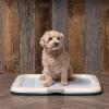 imageIRIS USA Pee Pad Holder for Puppy Training Secured Latches NonSkid Feet Fits 22quotx22quot Pads Dark Gray  100 Puppy Pads Leak Proof Quick Dry 6Layer Absorbent Design 22quotx22quotNavy