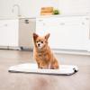 imageIRIS USA Pee Pad Holder for Puppy Training Secured Latches NonSkid Feet Fits 22quotx22quot Pads Dark Gray  100 Puppy Pads Leak Proof Quick Dry 6Layer Absorbent Design 22quotx22quotDark Gray