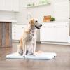imageIRIS USA Pee Pad Holder for Puppy Training Secured Latches NonSkid Feet Fits 22quotx22quot Pads Dark Gray  100 Puppy Pads Leak Proof Quick Dry 6Layer Absorbent Design 22quotx22quotBlue