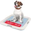 imageIRIS USA Pee Pad Holder for Puppy Training Secured Latches NonSkid Feet Fits 22quotx22quot Pads Dark Gray  100 Puppy Pads Leak Proof Quick Dry 6Layer Absorbent Design 22quotx22quotBlue