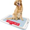 imageIRIS USA Pee Pad Holder for Puppy Training Secured Latches NonSkid Feet Fits 22quotx22quot Pads Dark Gray  100 Puppy Pads Leak Proof Quick Dry 6Layer Absorbent Design 22quotx22quotBlue