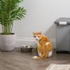 imageIRIS USA Stainless Steel Cat Bowls  5 Pack 16 oz Small Stainless Steel Cat Bowls for Food ampamp Water Durable and Easy to Clean Perfect for Cats and Kittens Stainless Steel Cat Water Bowls