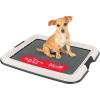 imageIRIS USA Pee Pad Holder for Puppy Training Secured Latches NonSkid Feet Fits 22quotx22quot Pads Dark Gray  100 Puppy Pads Leak Proof Quick Dry 6Layer Absorbent Design 22quotx22quotDark Gray