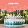 imageIRIS Sparkling Water Bottles 169 fl oz 500ml 24Pack Strong Carbonation from Mount Fuji Spring Refreshing Japanese Natural Mineral Seltzer Drink Product of Japan