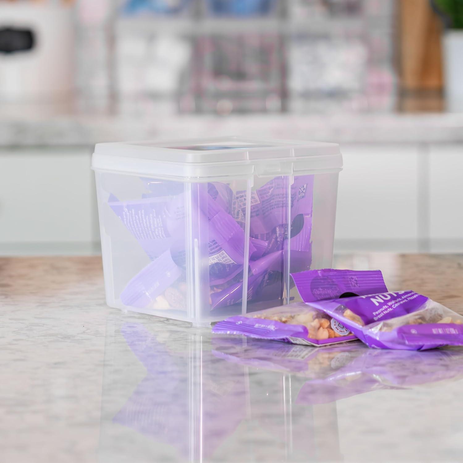 imageIRIS USA Vertical Plastic Flip Top Storage Containers Bins with Lids for Pantry Home Office Organization Large Stackable Hinged Organizer with Latches Clear 4 PackSmall  10 Pack