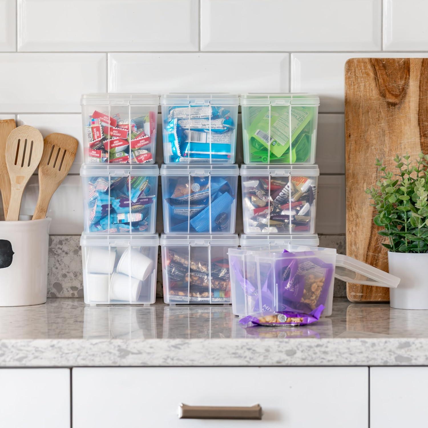 imageIRIS USA Vertical Plastic Flip Top Storage Containers Bins with Lids for Pantry Home Office Organization Large Stackable Hinged Organizer with Latches Clear 4 PackSmall  10 Pack