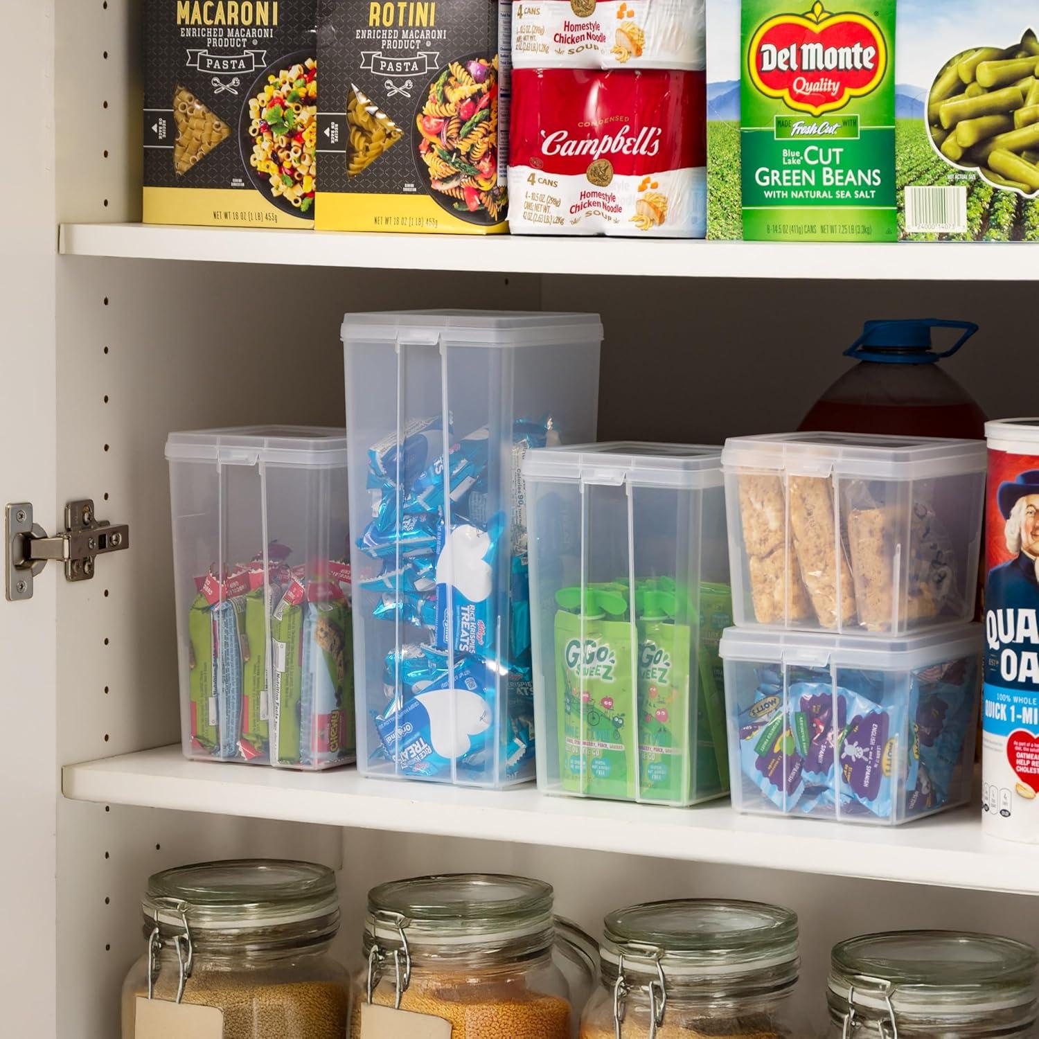 imageIRIS USA Vertical Plastic Flip Top Storage Containers Bins with Lids for Pantry Home Office Organization Large Stackable Hinged Organizer with Latches Clear 4 PackSmall  10 Pack