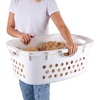 image:imageIRIS USA Plastic Laundry Basket 15 Bushel 50L Large Clothes Hamper with Ventilation Holes BuiltIn Handles amp Hip Hold Laundry Organizer for Bedroom Bathroom Dorm Sage GreenWhite