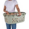 image:imageIRIS USA Plastic Laundry Basket 15 Bushel 50L Large Clothes Hamper with Ventilation Holes BuiltIn Handles amp Hip Hold Laundry Organizer for Bedroom Bathroom Dorm Sage GreenSage Green