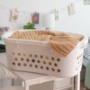 image:imageIRIS USA Plastic Laundry Basket 15 Bushel 50L Large Clothes Hamper with Ventilation Holes BuiltIn Handles amp Hip Hold Laundry Organizer for Bedroom Bathroom Dorm Sage GreenWhite