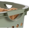 image:imageIRIS USA Plastic Laundry Basket 15 Bushel 50L Large Clothes Hamper with Ventilation Holes BuiltIn Handles amp Hip Hold Laundry Organizer for Bedroom Bathroom Dorm Sage GreenSage Green