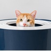 image:imageIRIS USA XXLarge Top Entry Cat Litter Box Dog Proof GrayWhite  Extra Large Heavy Duty Plastic Big Cats Secure 4Buckle Lock Tracking Control Lid Quick CleanupNavy